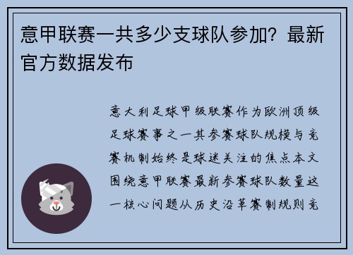 意甲联赛一共多少支球队参加？最新官方数据发布